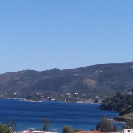 Forest & Sea Apartment Poros Town 外观 照片