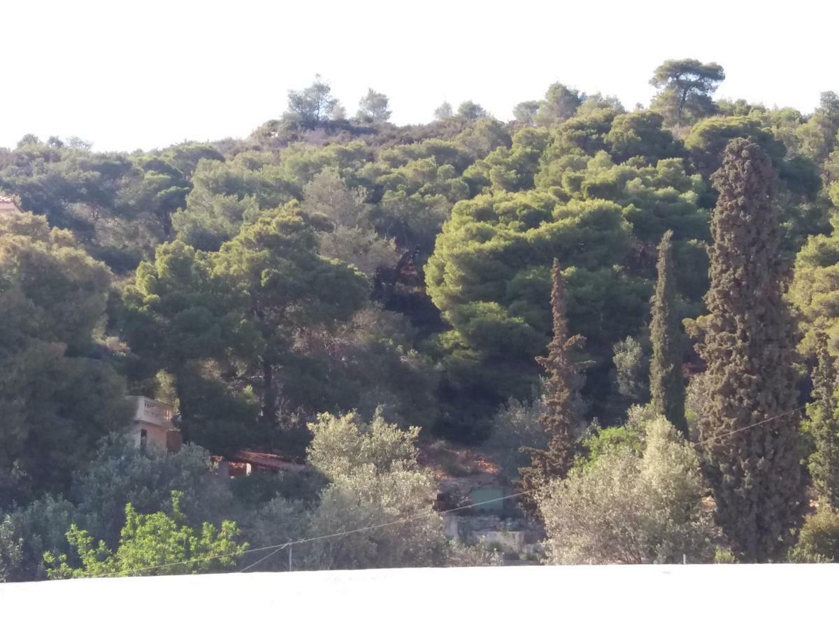 Forest & Sea Apartment Poros Town 外观 照片