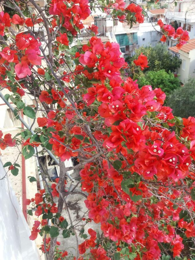 Forest & Sea Apartment Poros Town 外观 照片